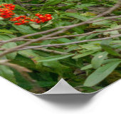 Spectaculated Beer Loungen door Red Berries Poster (Hoek)