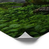 Spectrum van de Herfsten Poster (Hoek)