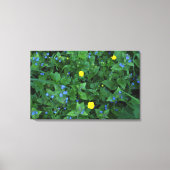 Speedwell en Buttercups Canvas Afdruk (Voorkant)