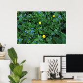 Speedwell en Buttercups Poster (Thuiskantoor)
