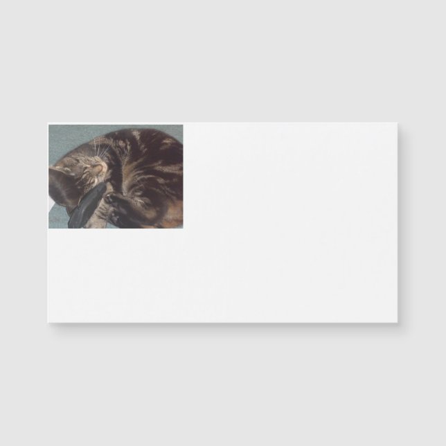 Speel Dave Magnetic Visitekaartjes (25-pack) (Voorkant)