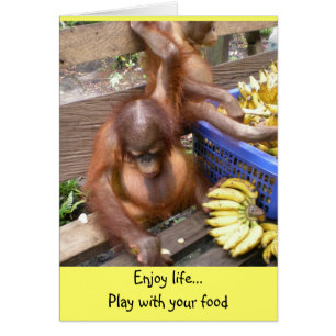 Speel met uw voedsel