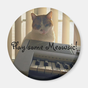 Speel wat Meowsic! Magneet
