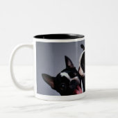Speelbare Boston Terriers Tweekleurige Koffiemok (Links)