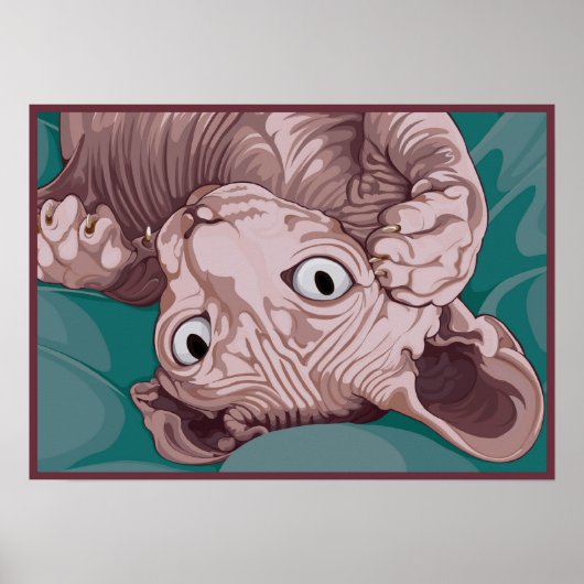 Speelbare sfinx poster (Voorkant)