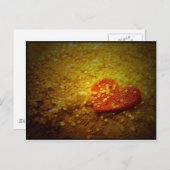 Speelgoed camerakop briefkaart (Voorkant / Achterkant)