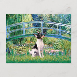 Speelgoed Fox Terrier - Bridge Briefkaart