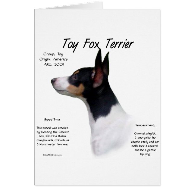 Speelgoed Fox Terrier Geschiedenis Ontwerp (Voorkant)