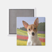 Speelgoed Fox Terriermagneet Magneet (Voorkant / Achterkant)