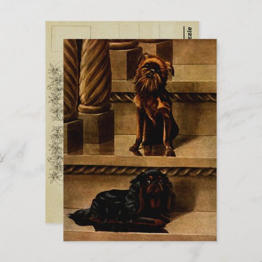 Speelgoed Honden Briefkaart (Voorkant / Achterkant)