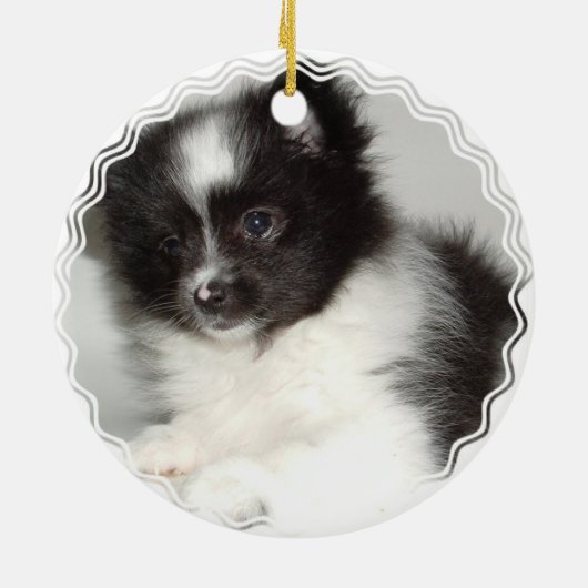Speelgoed Pommeren Dog Ornament (Achterkant)