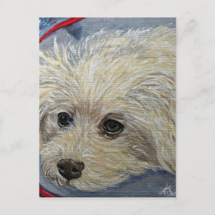 Speelgoed Poodle Painting - Cece Briefkaart
