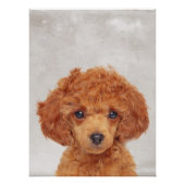 Speelgoed Poodle Poster Perfect Poster (Voorkant)