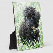 Speelgoed Poodle Puppy Fotoplaat (Zijkant)