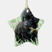 Speelgoed Poodle Puppy Keramisch Ornament (Rechts)