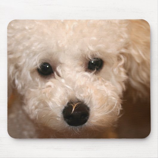 Speelgoed Poodle Puppy Mousepad Muismat (Voorkant)
