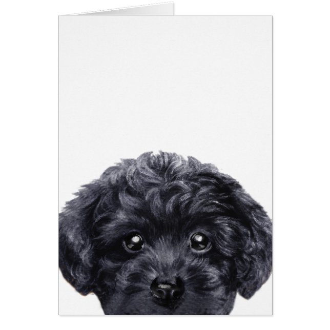 Speelgoed poodle zwart, oorspronkelijk ontworpen d (Voorkant)