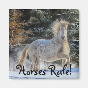 Speelgoed wit paard in Winter Snows Foto Magneet