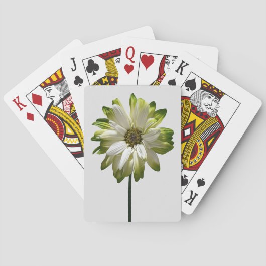 Speelkaarten (Achterkant)