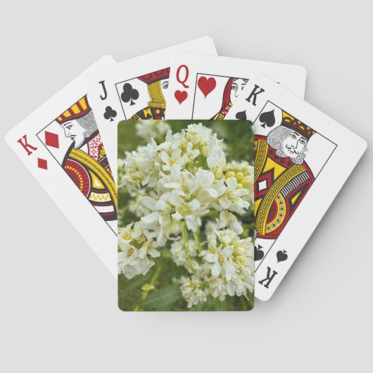 Speelkaarten (Achterkant)