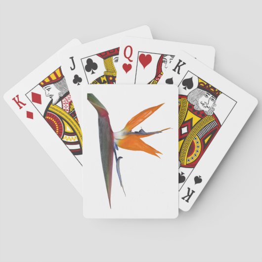 Speelkaarten (Achterkant)