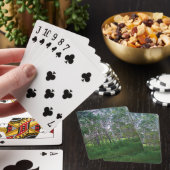 Speelkaarten van Quakies (Insitu)