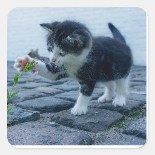 Speelkeuten Vierkante Sticker (Voorkant)