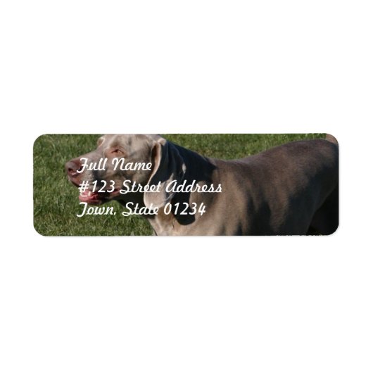 Speels Weimaraner Dog Mailing Label (Voorkant)