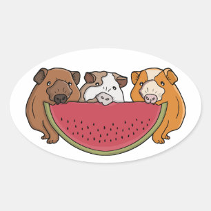Speelse cavia's en watermeloen illustratie ovale sticker