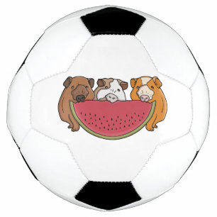 Speelse cavia's en watermeloen illustratie voetbal