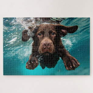 Speelse chocolade labrador zwemmen onder water legpuzzel