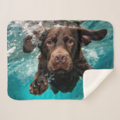 Speelse chocolade labrador zwemmen onder water sherpa deken (Voorkant (horizontaal))