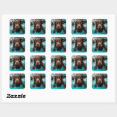 Speelse chocolade labrador zwemmen onder water vierkante sticker (Vel)