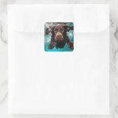 Speelse chocolade labrador zwemmen onder water vierkante sticker (Tas)