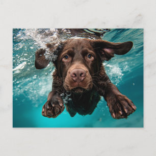 Speelse chocolade labrador zwemt onder water briefkaart
