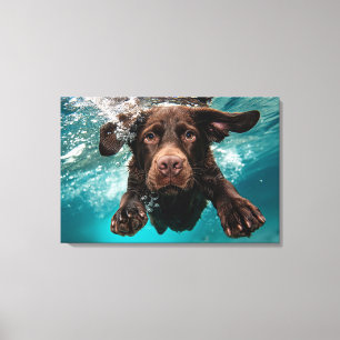 Speelse chocolade labrador zwemt onder water canvas afdruk