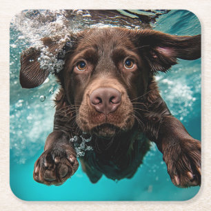 Speelse chocolade labrador zwemt onder water vierkante kartonnen onderzetter