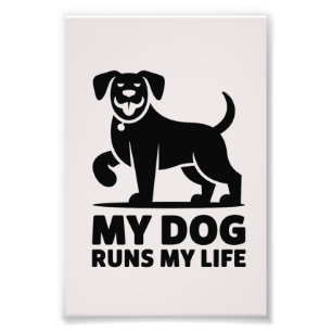 Speelse Hondenoverzicht "Mijn Hond Beheert Mijn Le Foto Afdruk