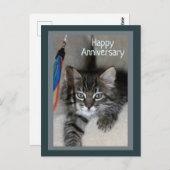 Speelse Kitten Kimber Jubileum Briefkaart (Voorkant / Achterkant)