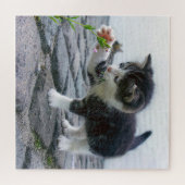 Speelse Kitten Legpuzzel (Horizontaal)
