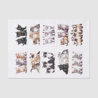 Speelse Kittens in sets van drie kieskeurige snede Tissuepapier