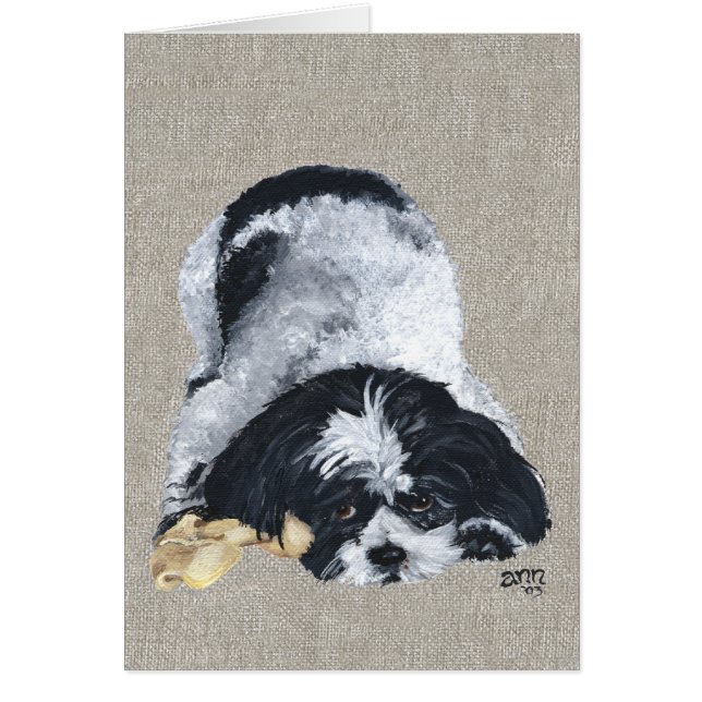 Speelse Shih Tzu (Voorkant)
