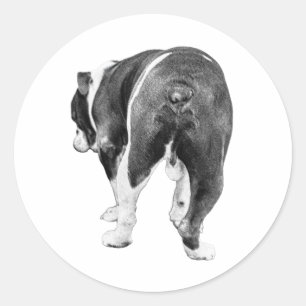 Speelse uitgang, gevederde winter schaduw ronde sticker