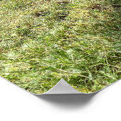 Speeltuin kinderfiets poster (Hoek)