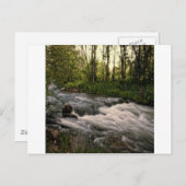 Speerviskreeft SD Briefkaart (Voorkant / Achterkant)