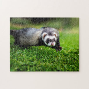 Speful Ferret Close (Sluiten), Jigzaag Puzzle Legpuzzel