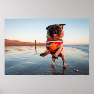 Spelbak op strand afspelen poster