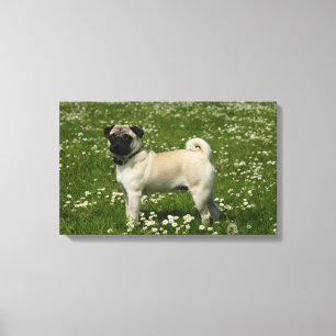 Spelen in bloemen canvas afdruk