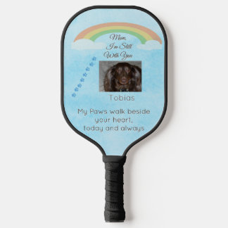 Spelen in het licht achter de regenboog pickleball paddle