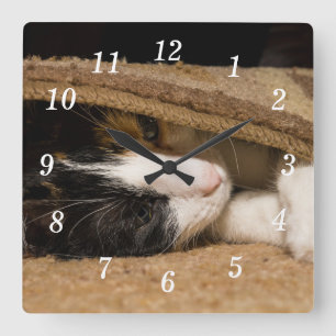 Spelen onder de tapijtmuur klok